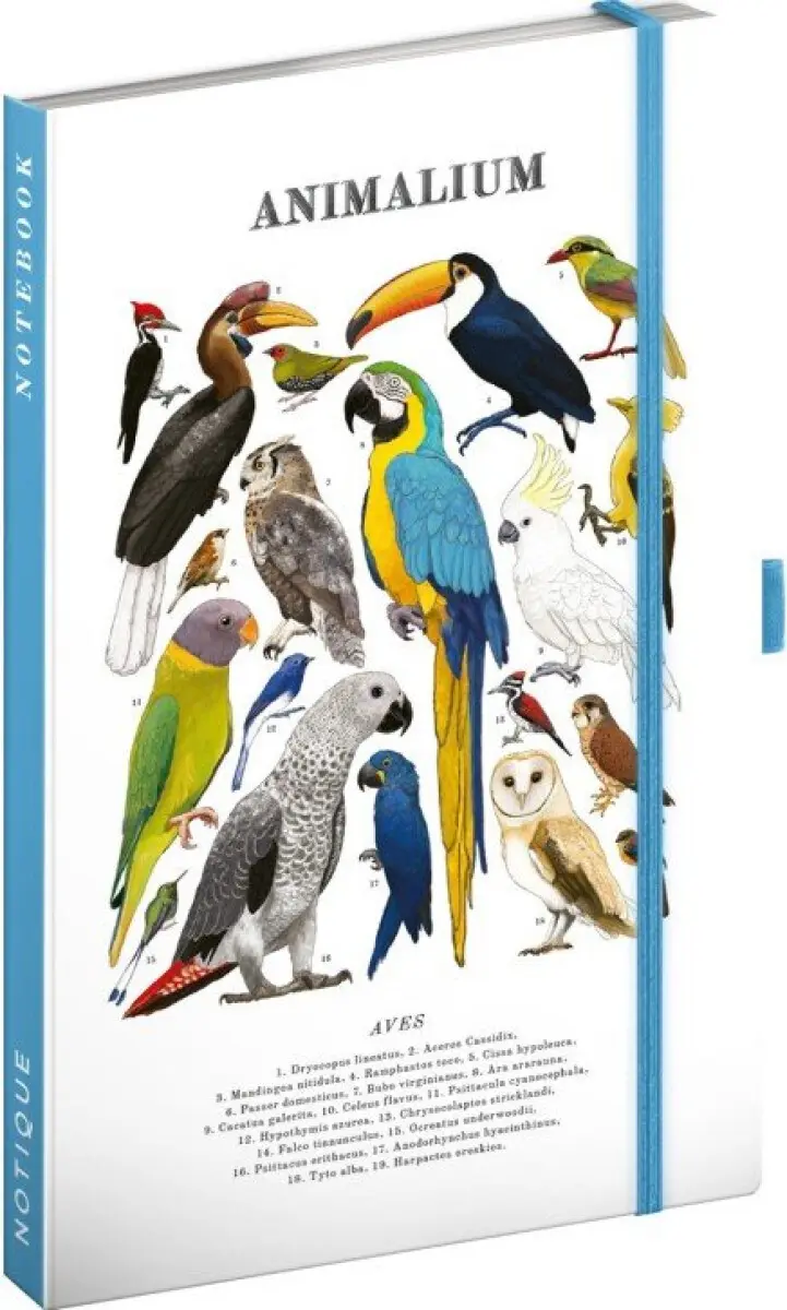 Notes Notique Animalium Ptáci linkovaný, 13 × 21 cm