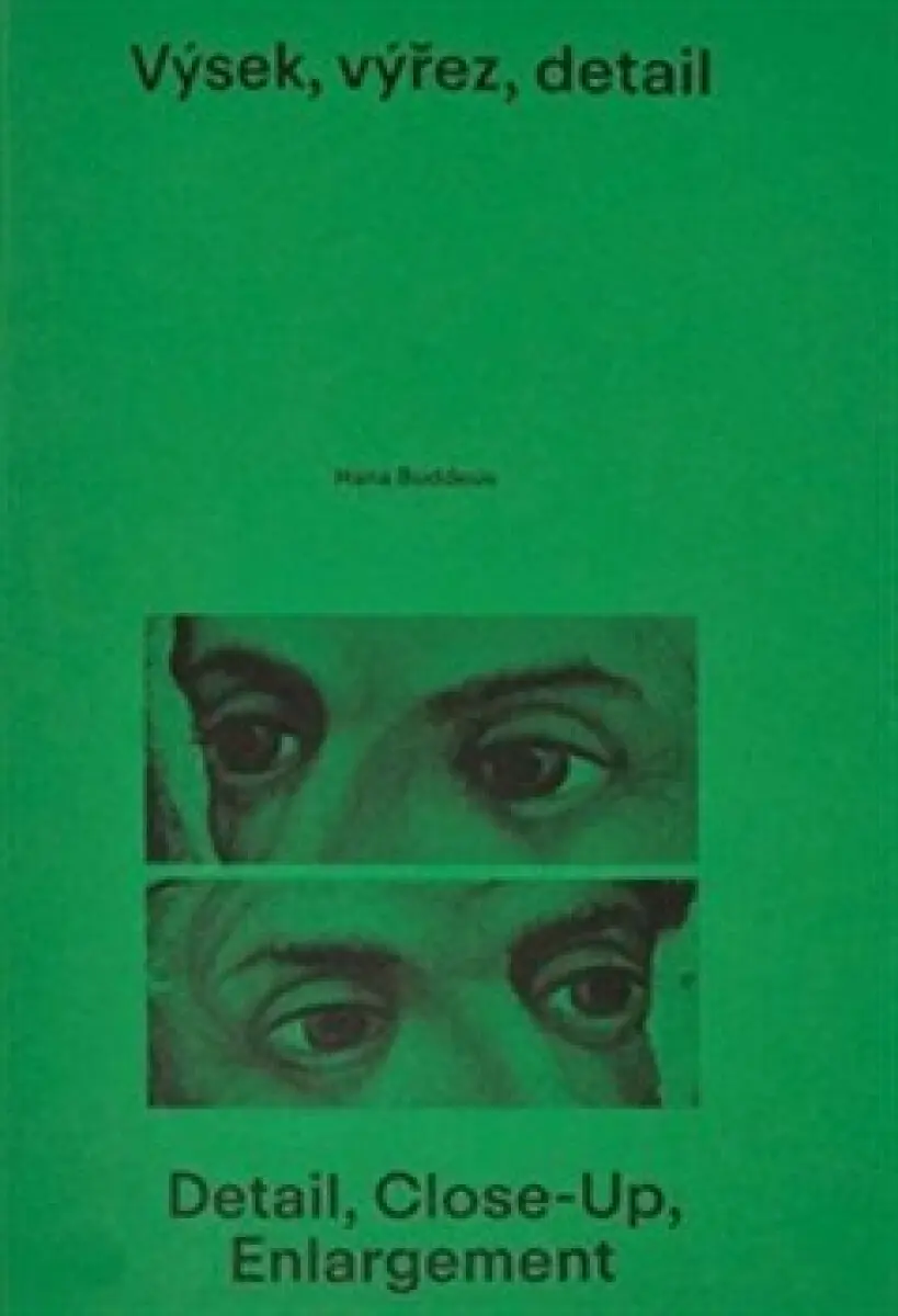 Výsek, výřez, detail - Hana Buddeus