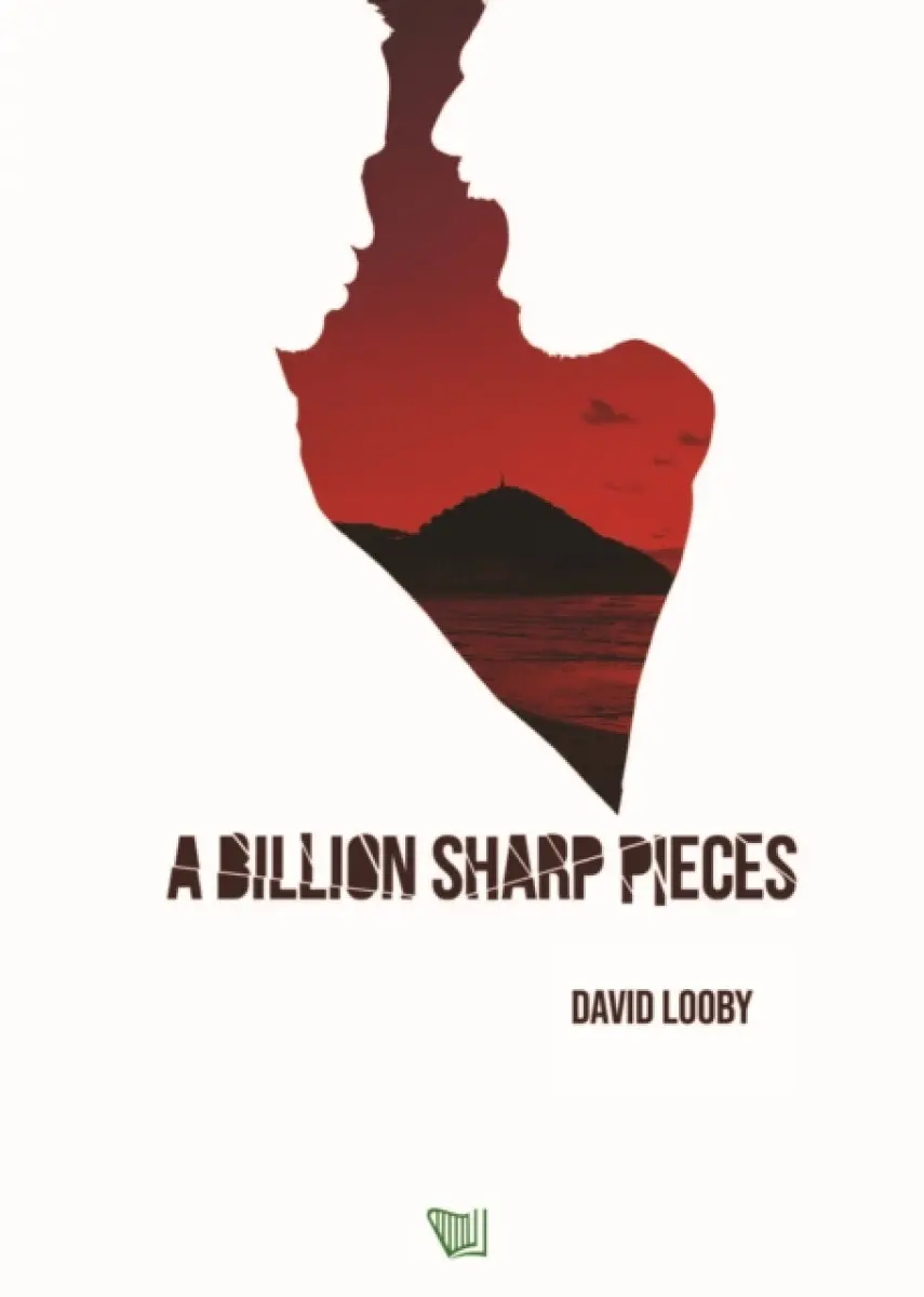 A Billion Sharp Pieces - David Looby