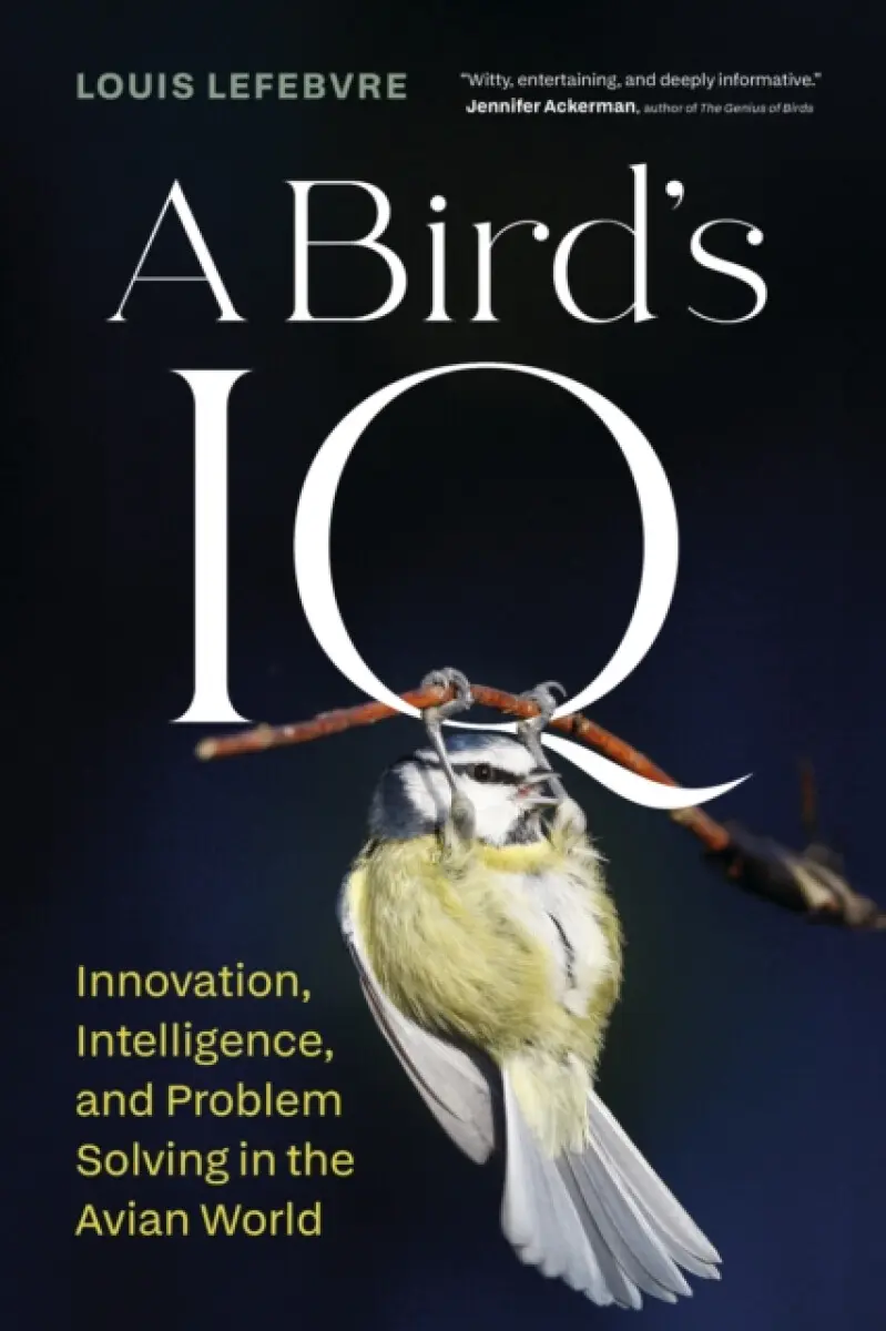 A Bird’s IQ - Louis Lefebvre