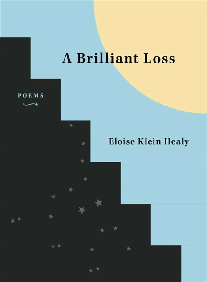 A Brilliant Loss - Eloise Klein Healy