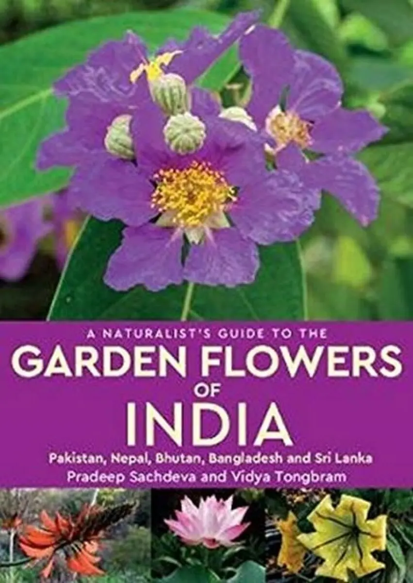 A Naturalist's Guide to the Garden Flowers of India - Pradeep Sachdeva, Vidya Tongbram