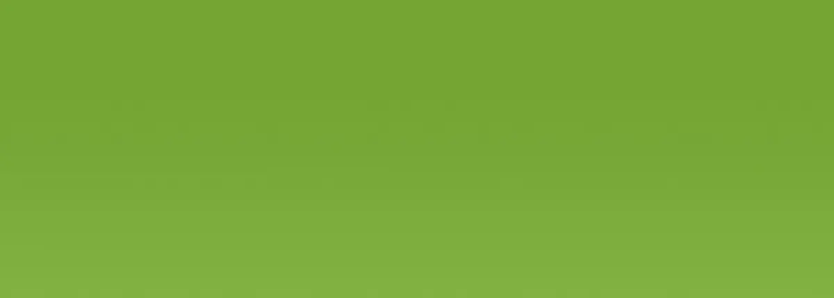 Acrylic EF 37 ml /2 - 223 Bright green