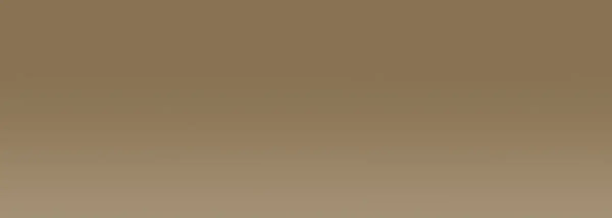 Acrylic EF 37 ml /3 - 354 Bronze