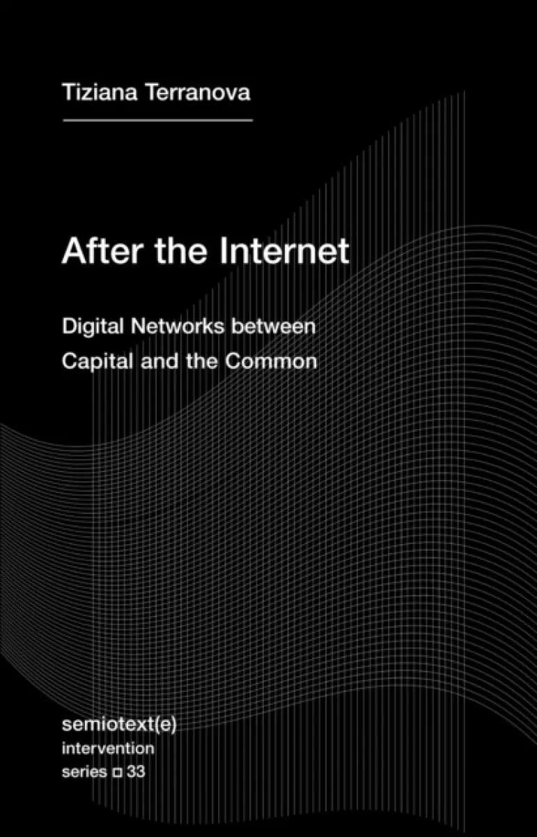 After the Internet - Tiziana Terranova