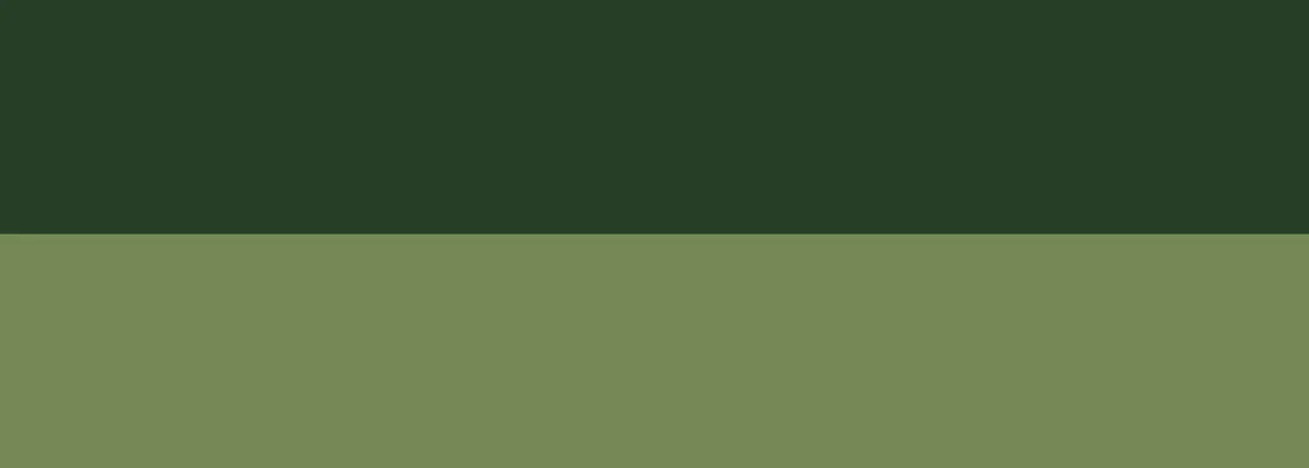 Akryl Abstract S 500 ml 809 Hooker's green