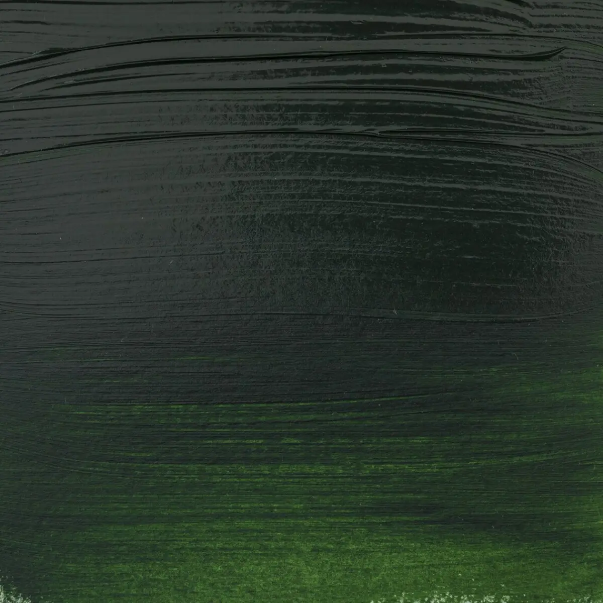 Akryl Amsterdam Expert 75 ml - 623 Sap Green