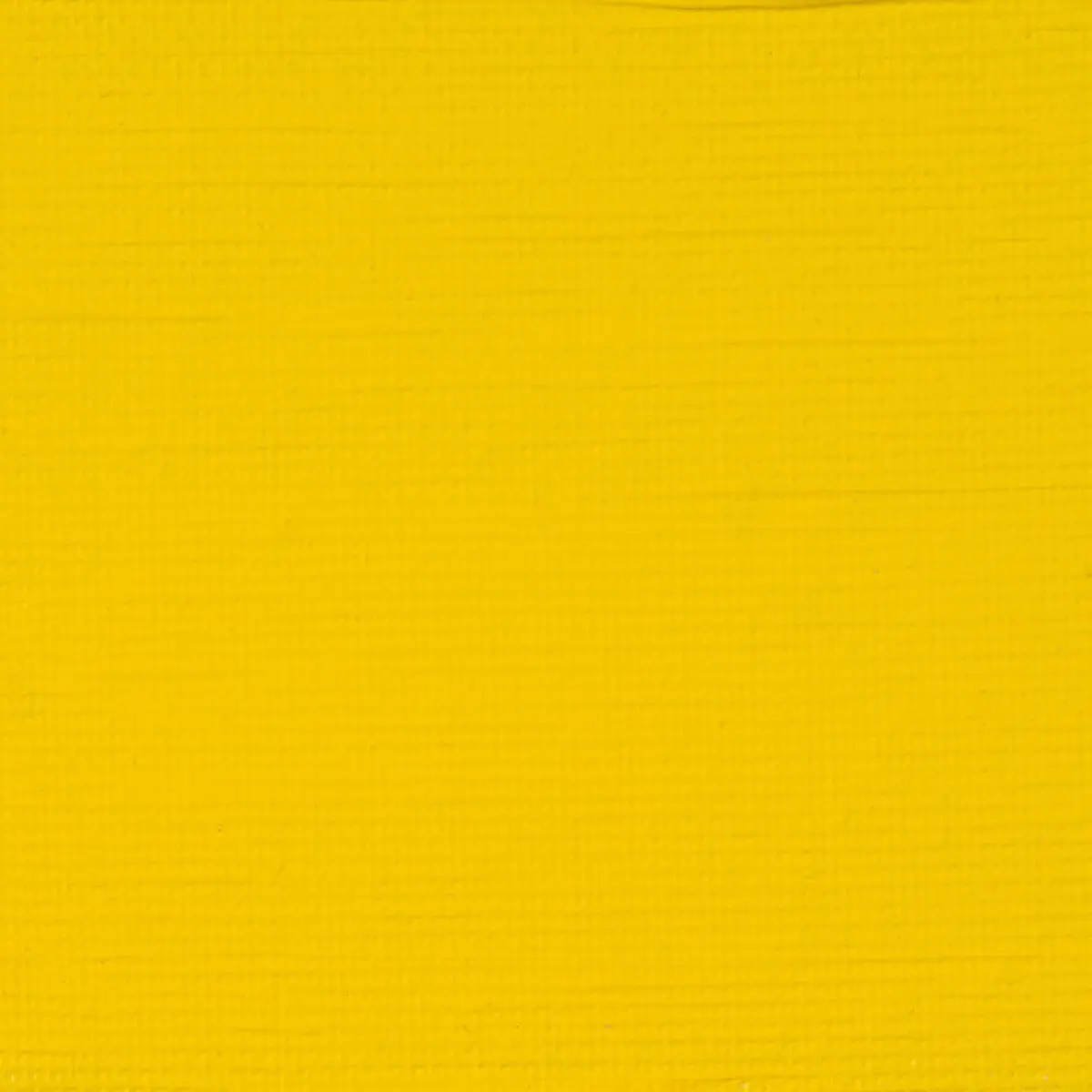 Akryl Rembrandt 40ml - 208 Cadm. Yellow LT