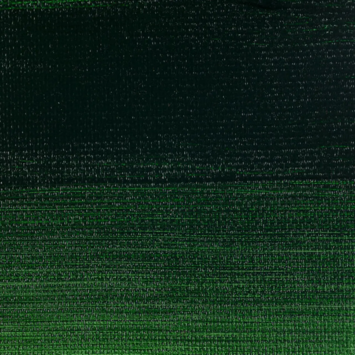Akryl Rembrandt 40ml - 623 Sap Green