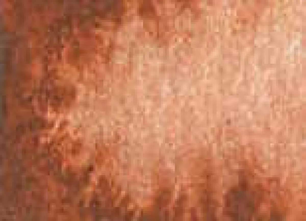 Akvarelová barva DS 15ml – 010 Burnt Sienna