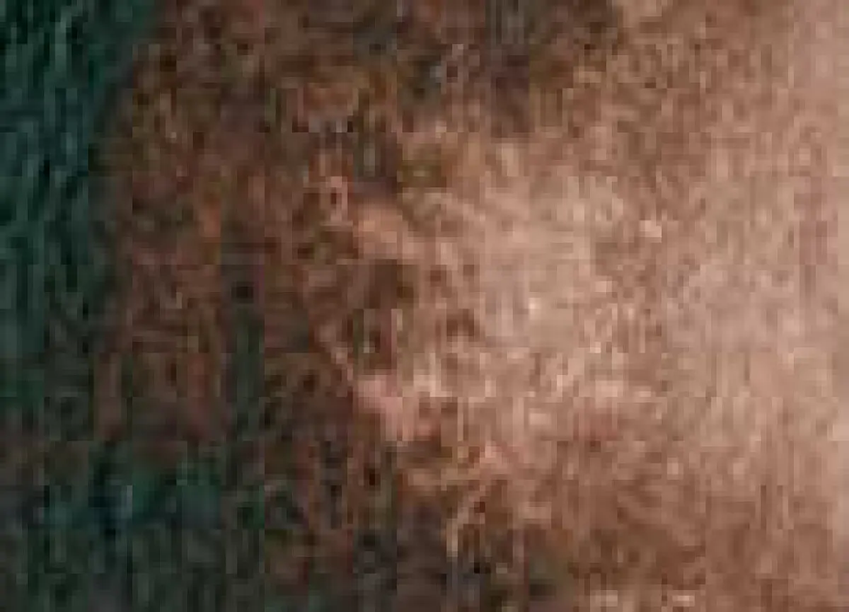 Akvarelová barva DS 15ml – 011 Burnt Umber