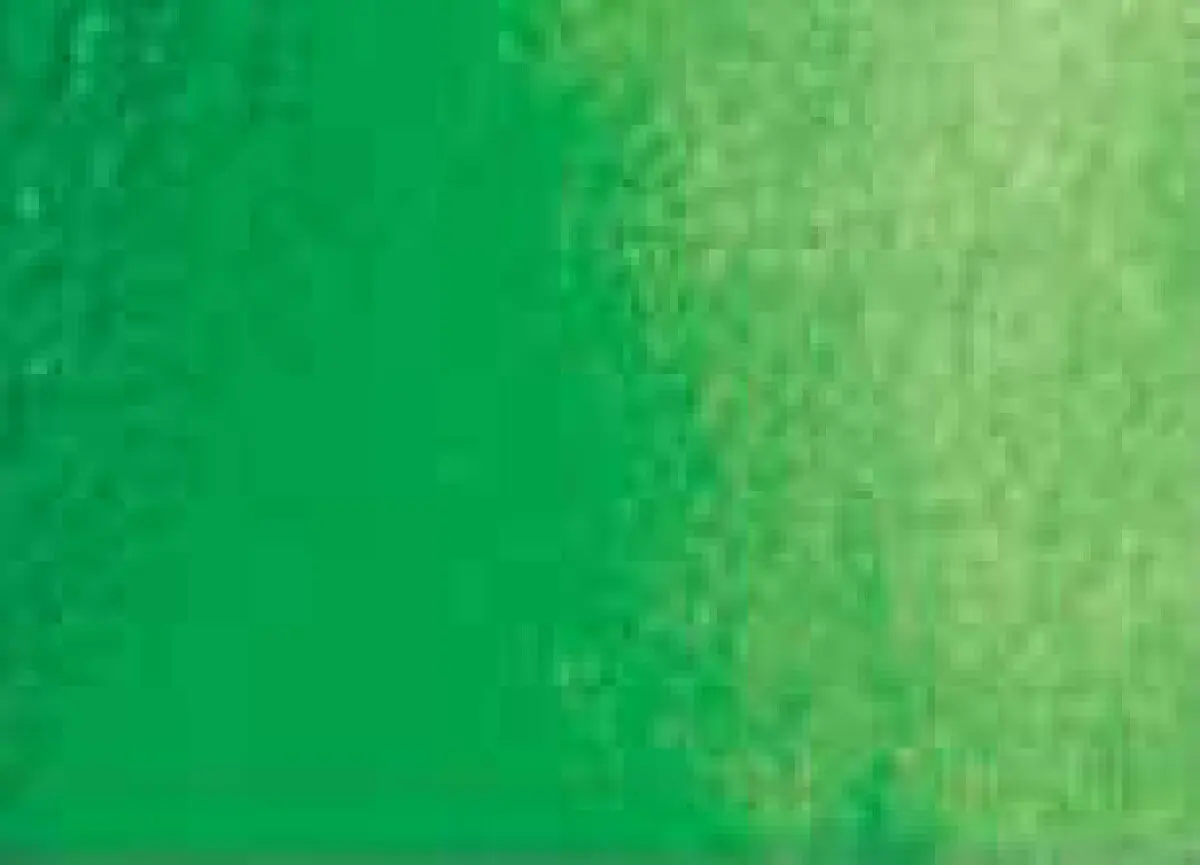 Akvarelová barva DS 15ml – 067 Permanent Green Light