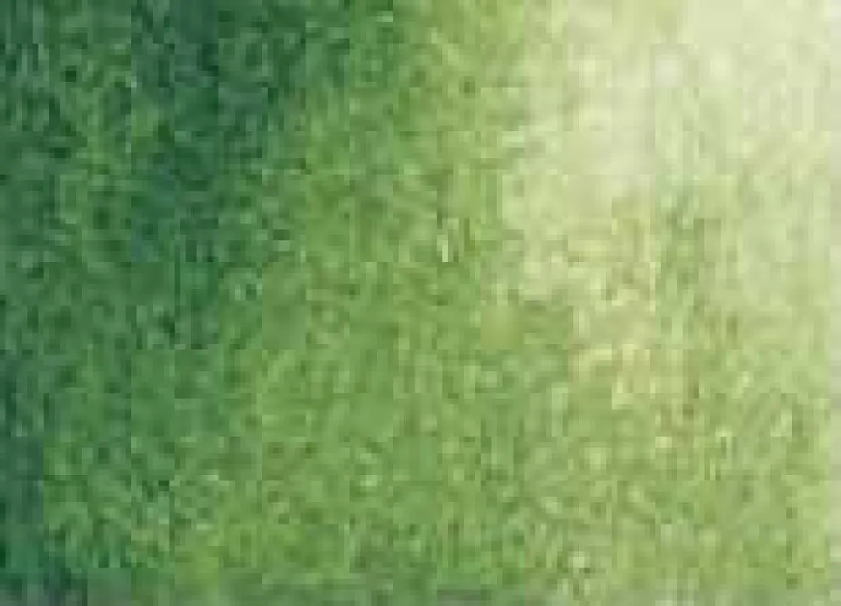 Akvarelová barva DS 15ml – 102 Sap Green