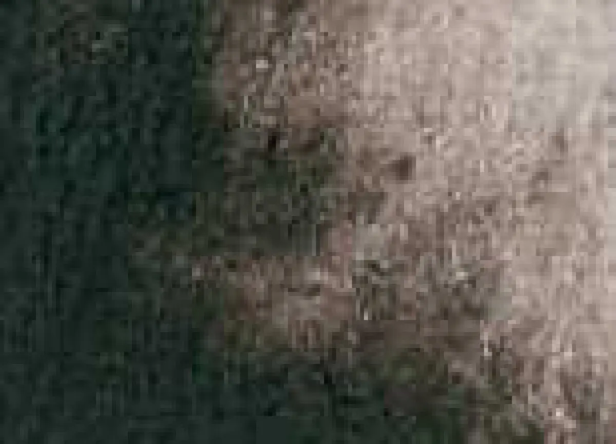 Akvarelová barva DS 15ml – 110 van Dyck Brown
