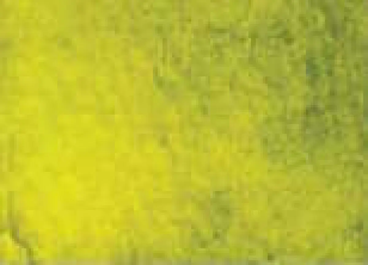 Akvarelová barva DS 15ml – 139 Green Gold
