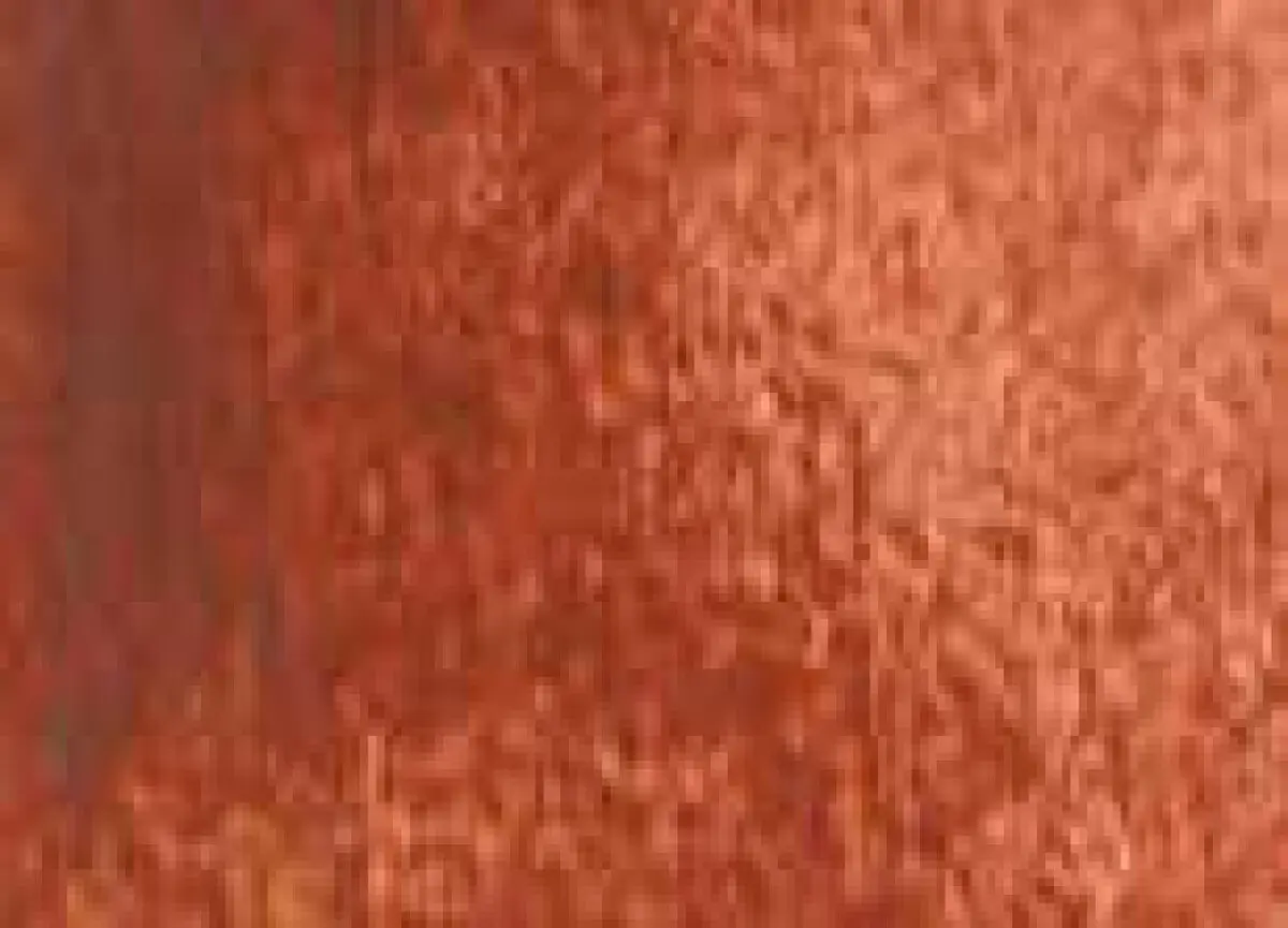 Akvarelová barva DS 15ml – 172 Fired Gold Ochre