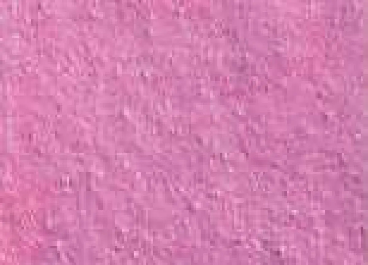 Akvarelová barva DS 15ml – 4031 Duochrome Hibiscus