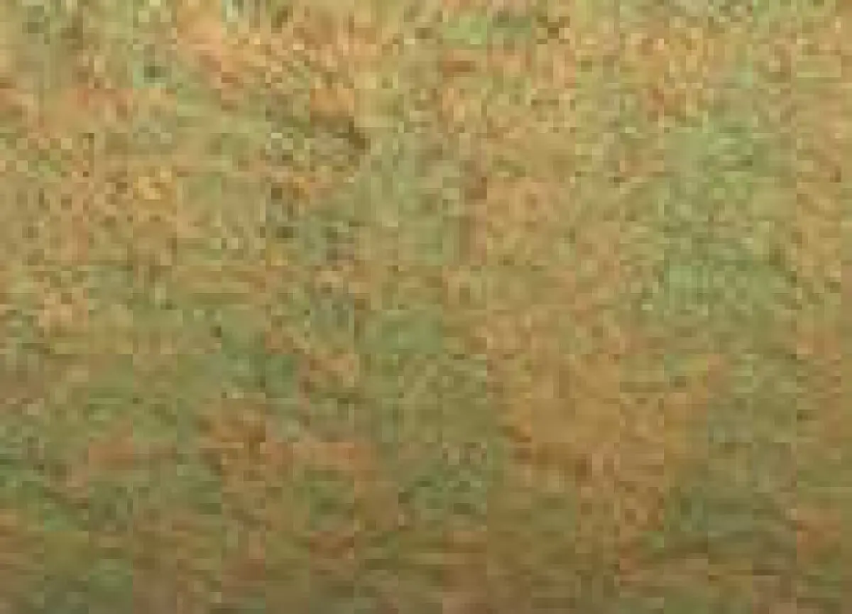 Akvarelová barva DS 15ml – 4037 Duochrome Saguaro Green