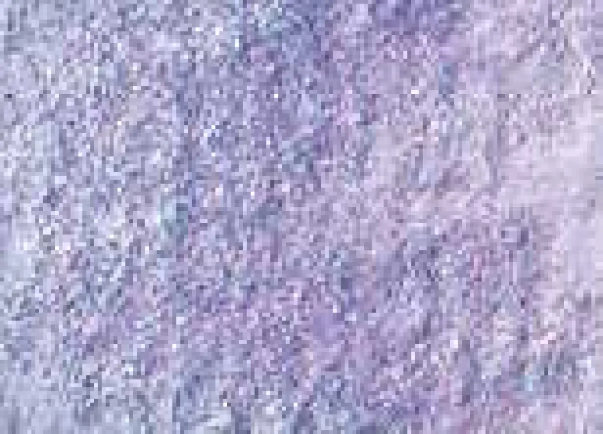 Akvarelová barva DS 15ml – 4041 Duochrome Violet Pearl