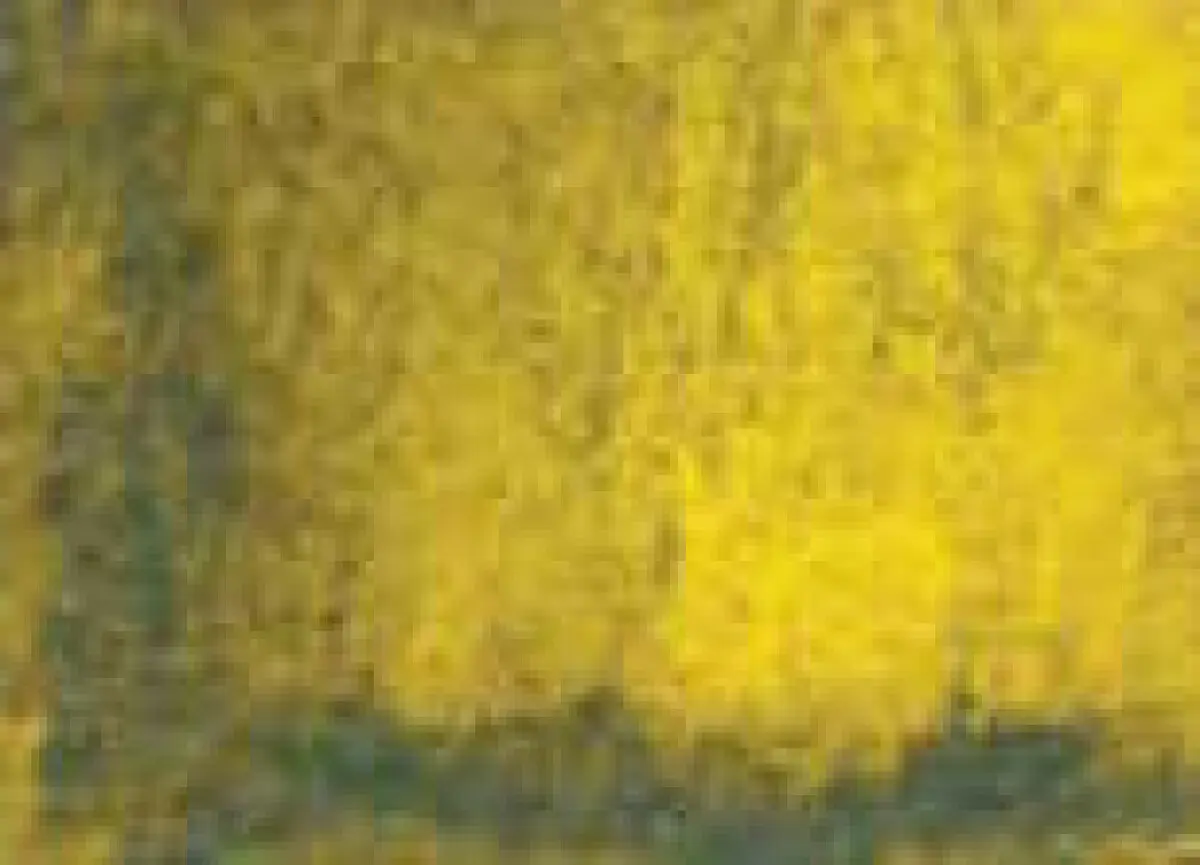 Akvarelová barva DS 5ml – 099 Rich Green Gold