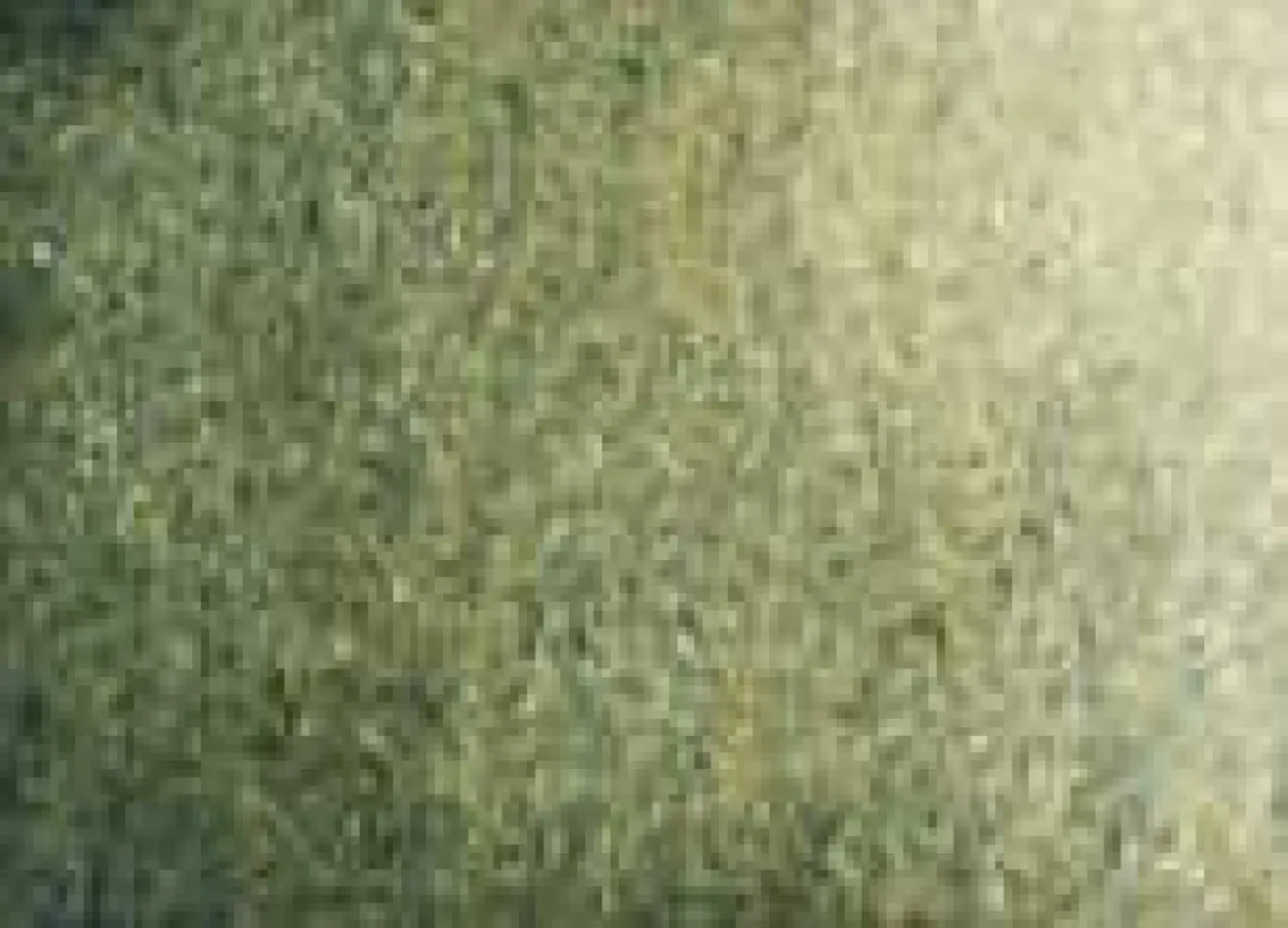 Akvarelová barva DS 5ml – 109 Undersea Green
