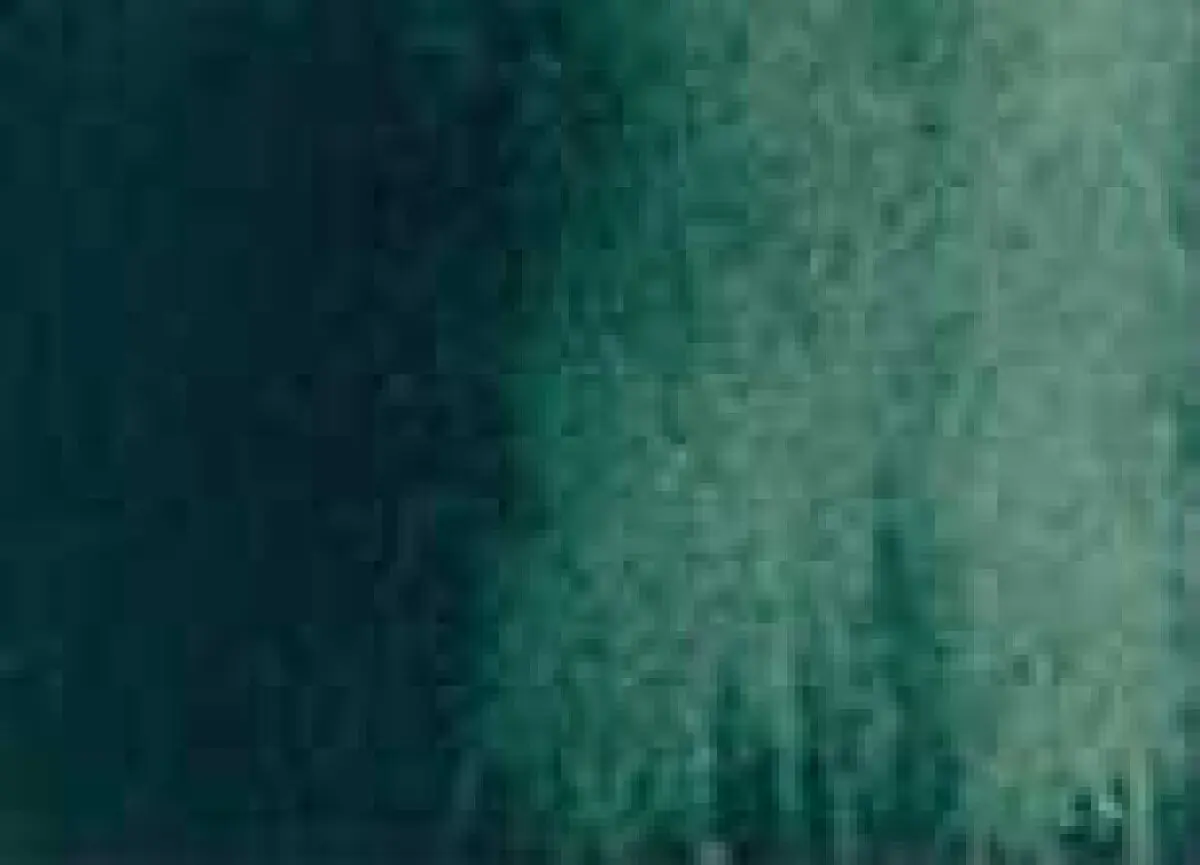 Akvarelová barva DS 5ml – 175 Deep Sap Green