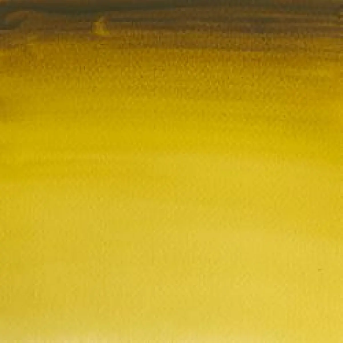 Akvarelová barva W&N 1/2 – 269 Green Gold