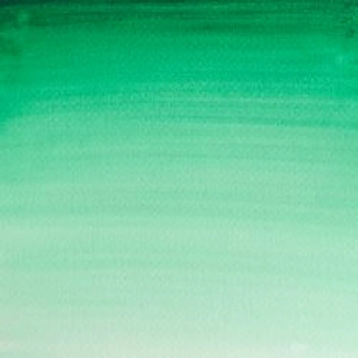 Akvarelová barva W&N Cotman 1/2 – 099 Intense Green