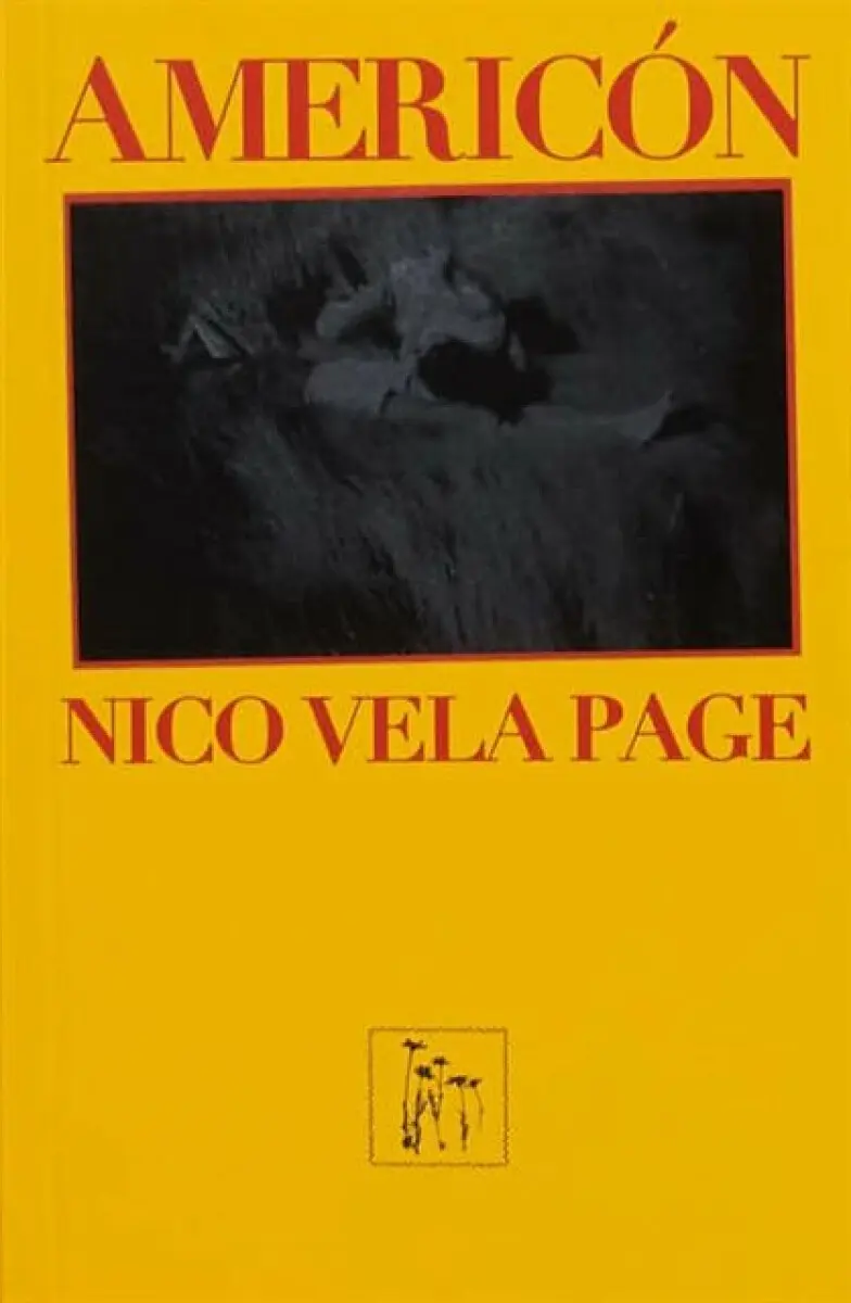 Americón - Nico Vela Page