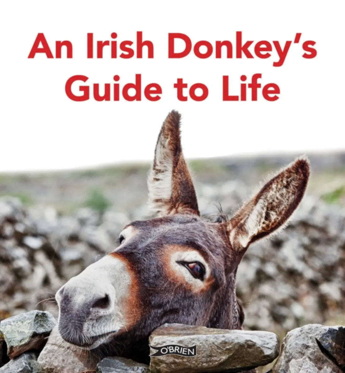 An Irish Donkey’s Guide to Life - Sarah O'Connor