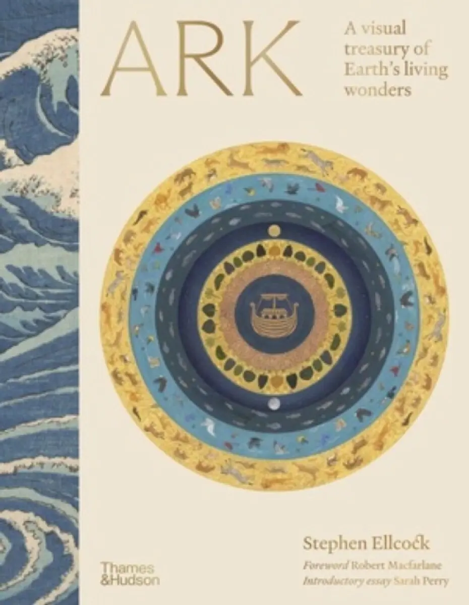 Ark - Stephen Ellcock