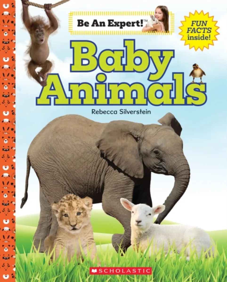 Baby Animals - Rebecca Silverstein