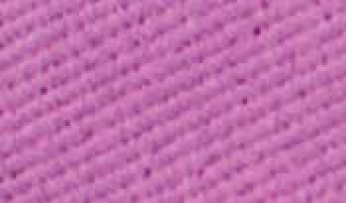 Barva na textil Rosa 20ml – 08 Rose light