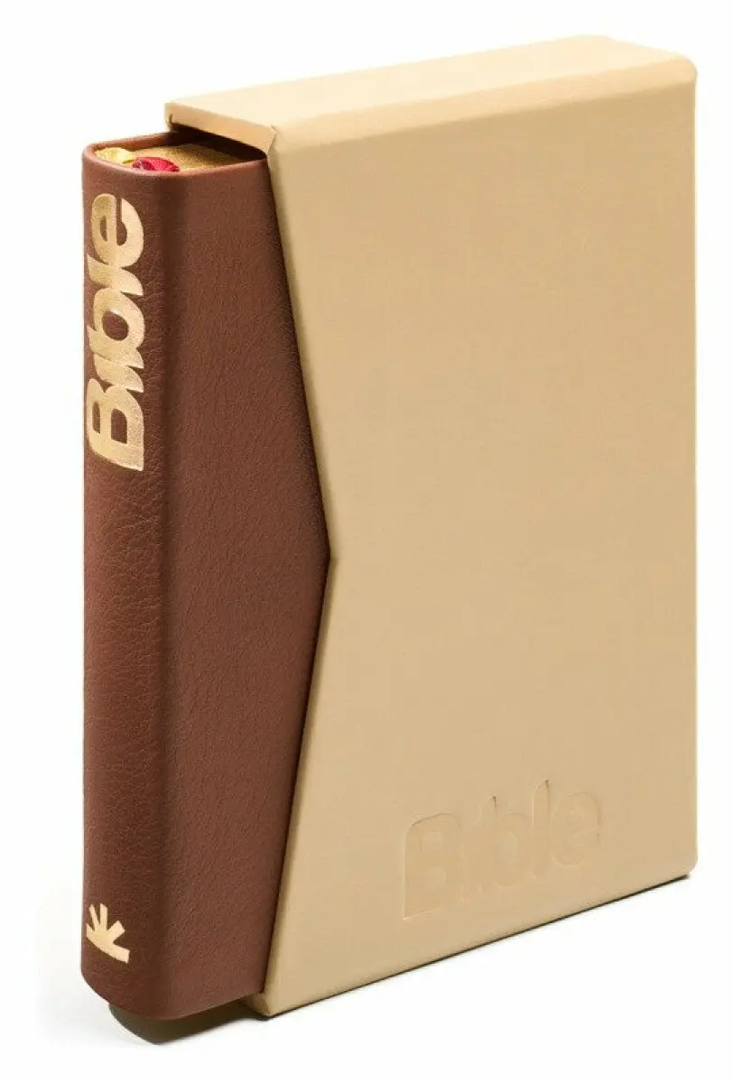 Bible, překlad 21. století (Cocoa kůže)