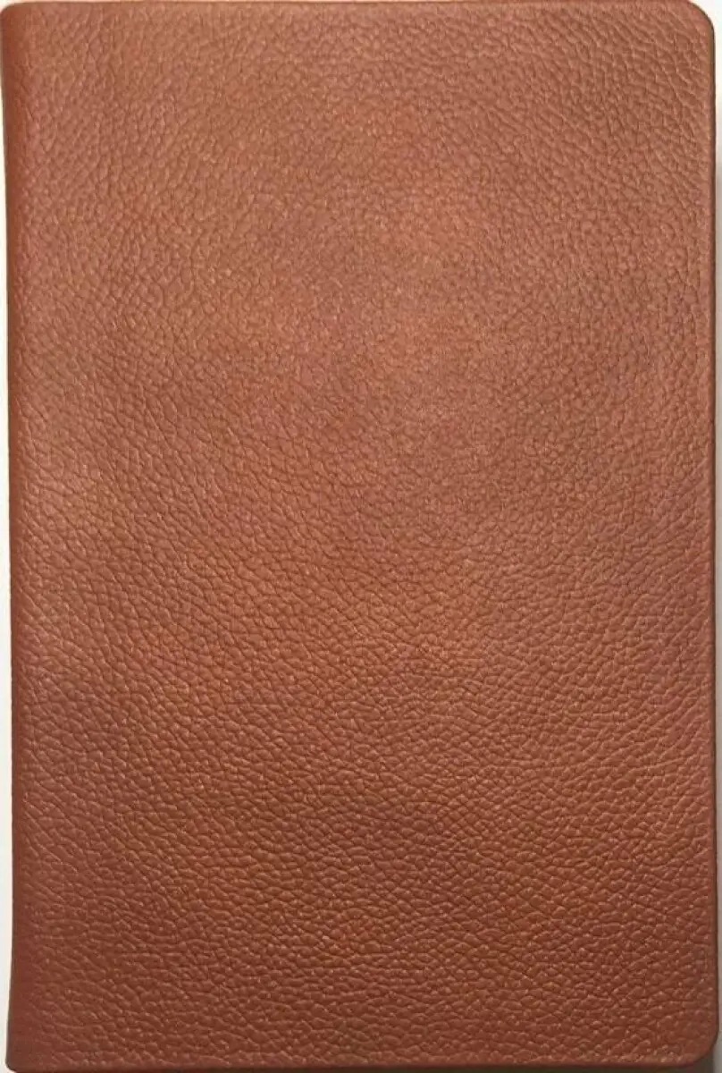 Bible 21