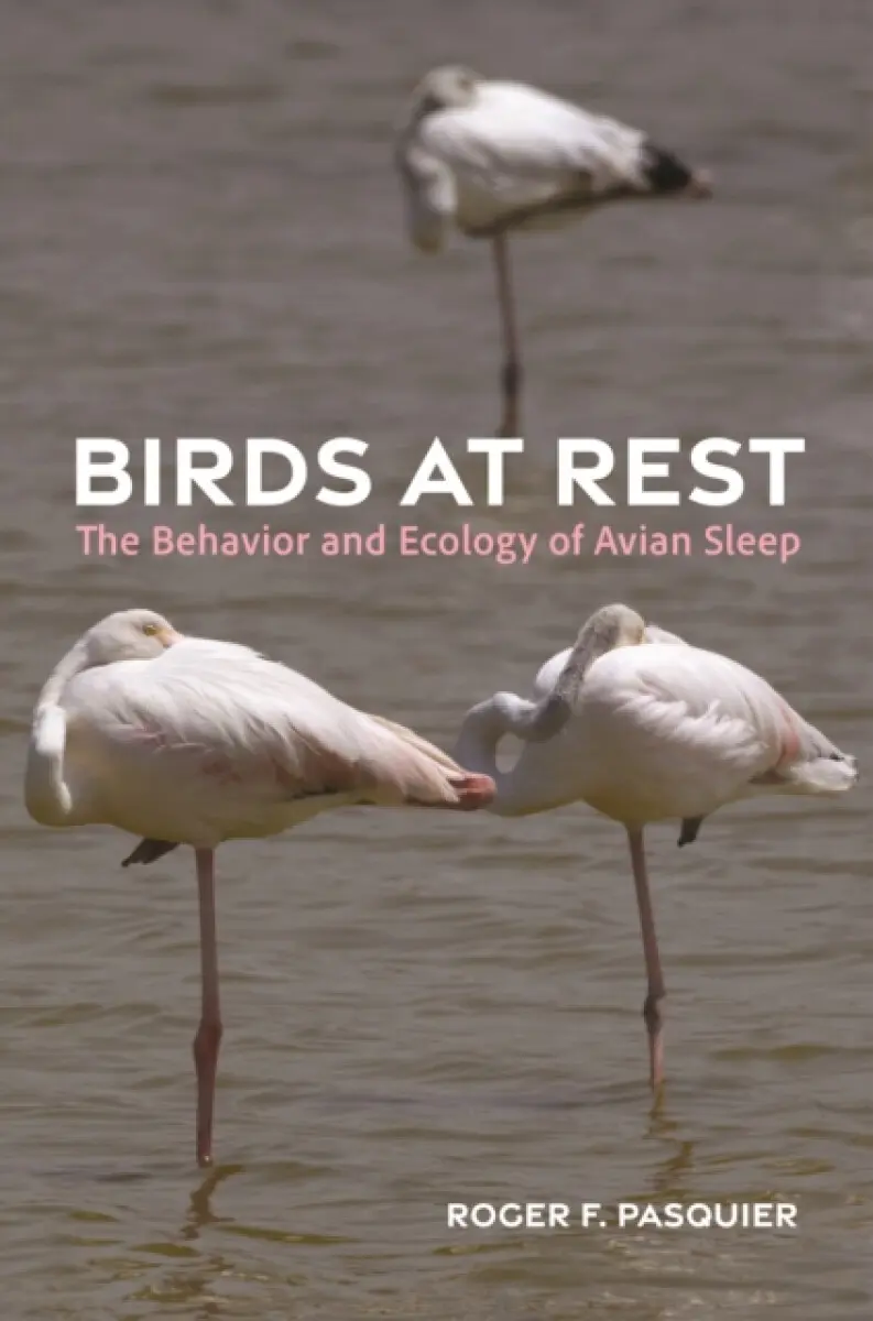 Birds at Rest - Roger Pasquier