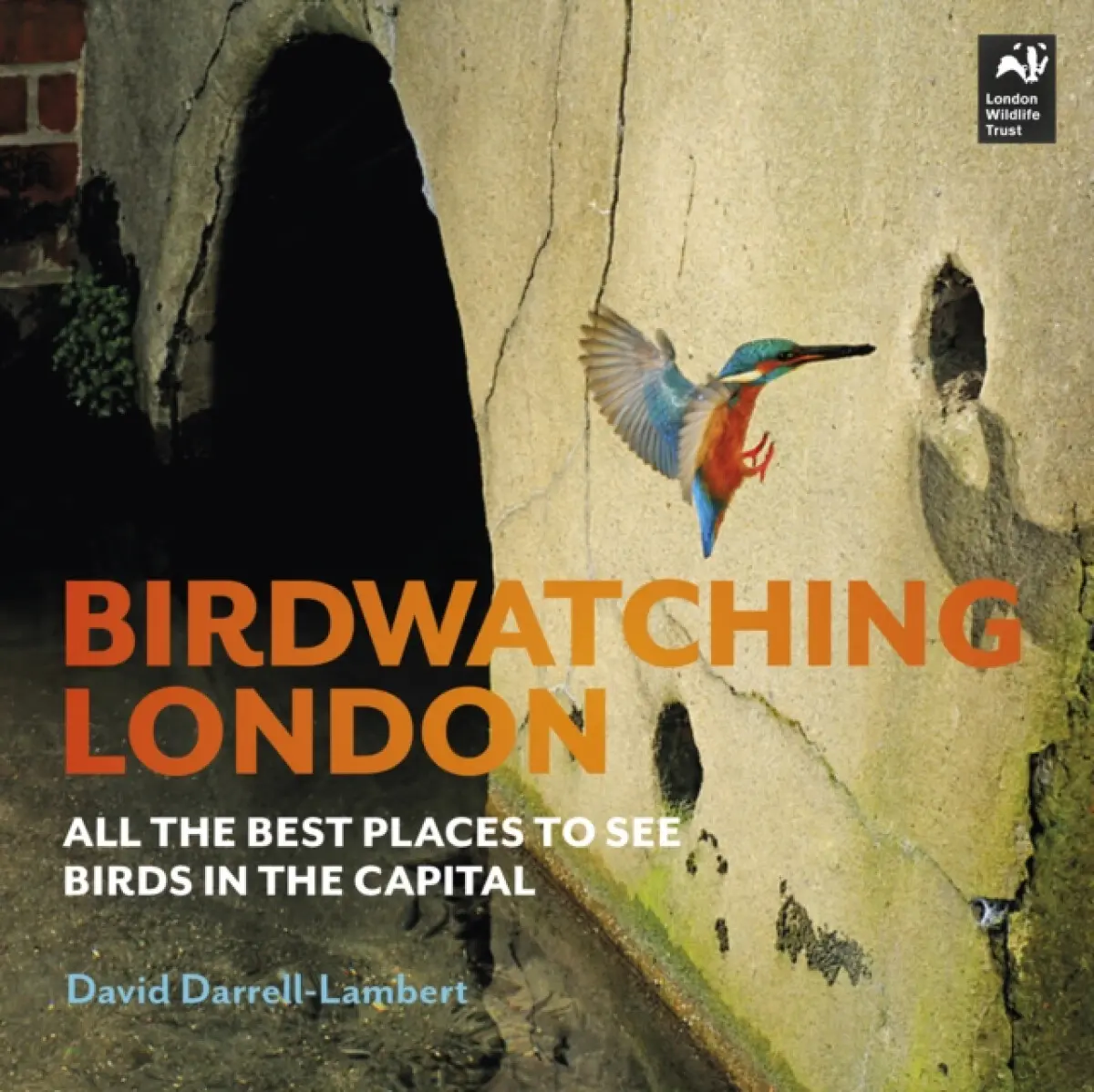 Birdwatching London - David Darrell-Lambert