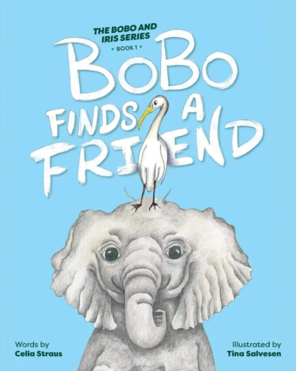 BoBo Finds A Friend - Celia Straus, Tina Salvesen