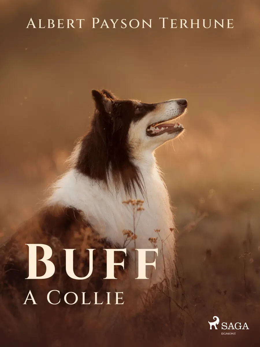 Buff: A Collie - Albert Payson Terhune