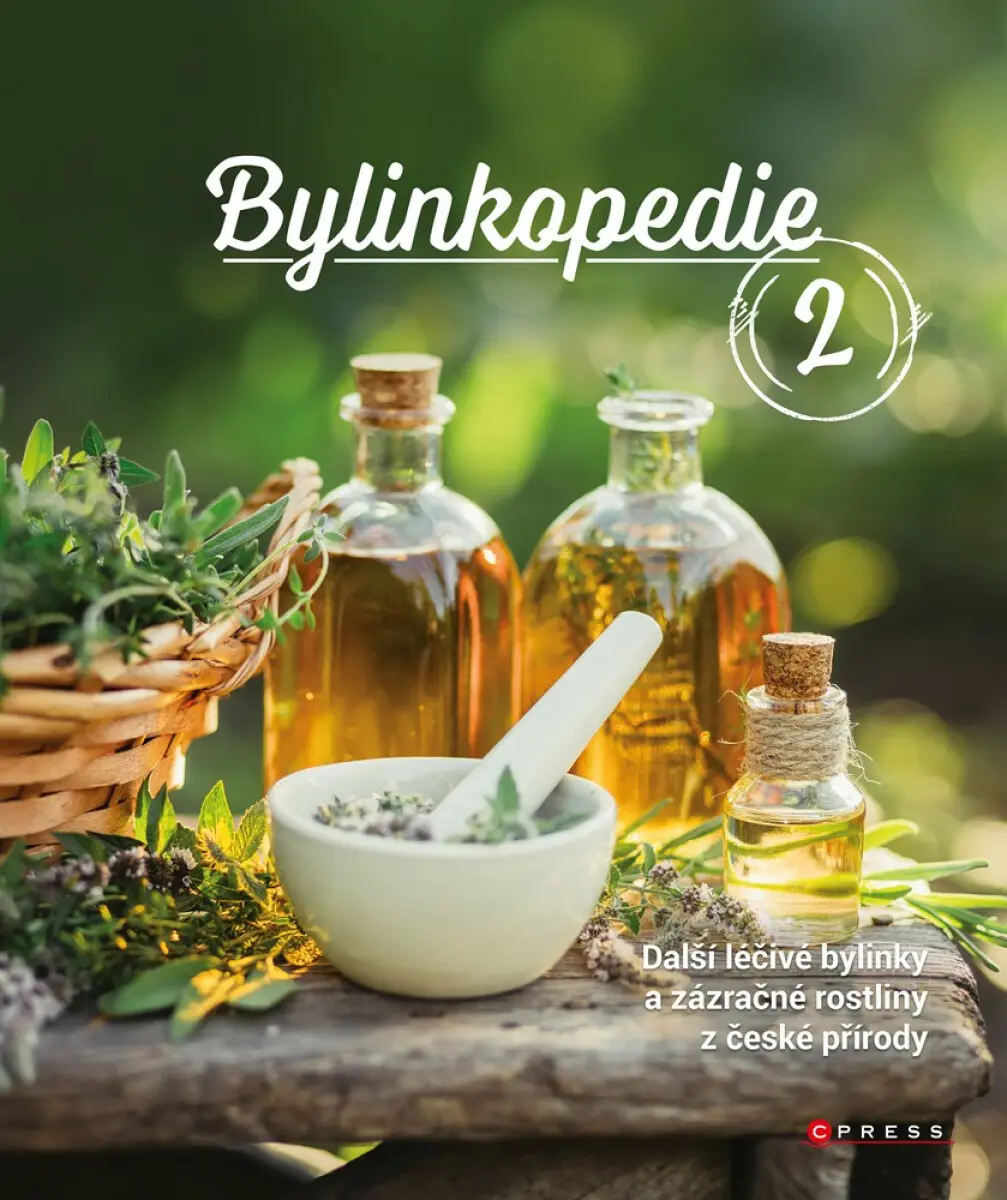 Bylinkopedie 2 - Další léčivé bylinky a zázračné rostliny z české přírody - Martin Chvapil