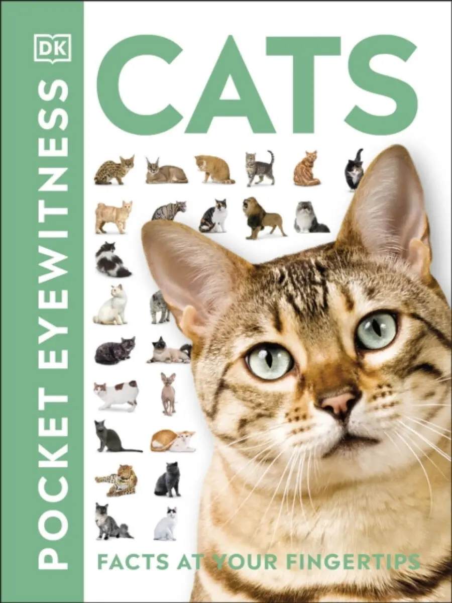 Cats - DK