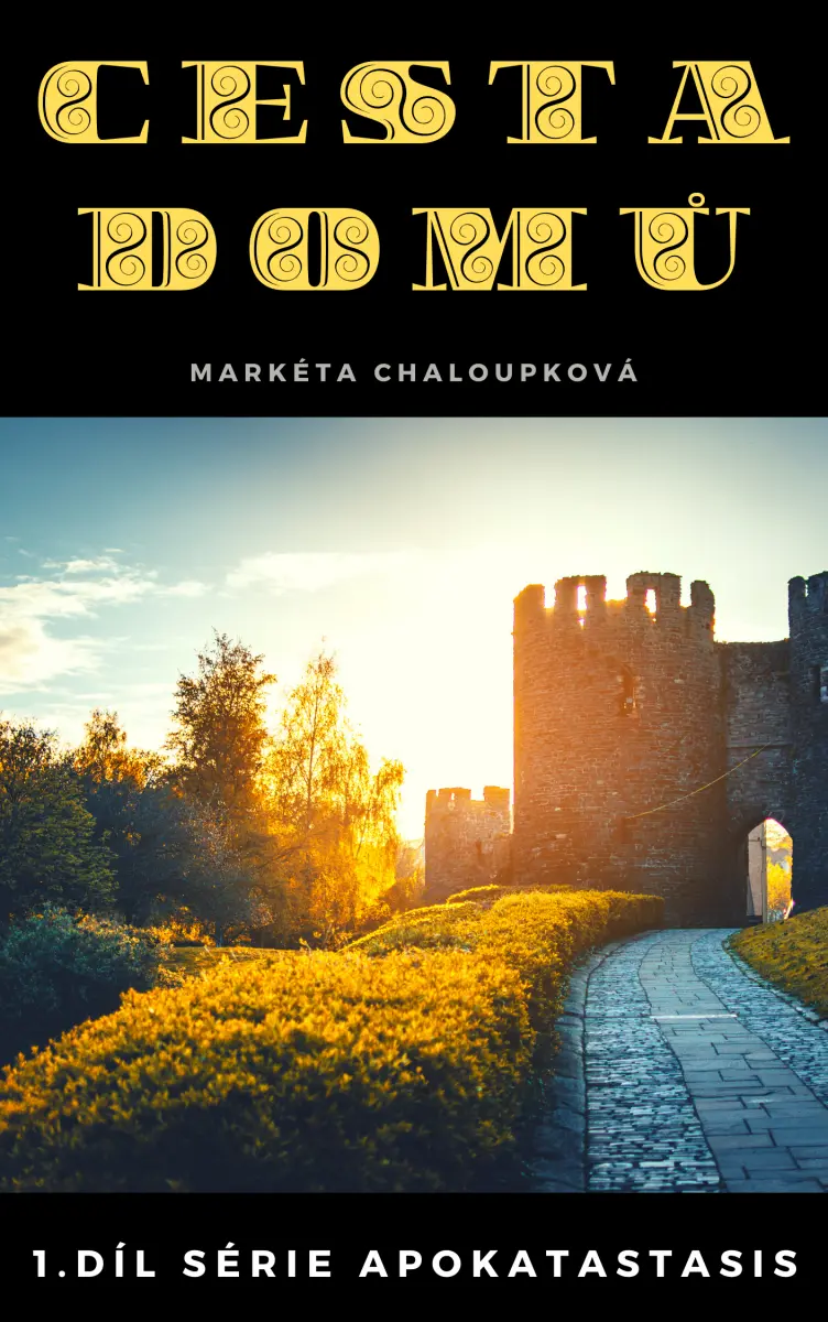 Cesta domů - Markéta Chaloupková