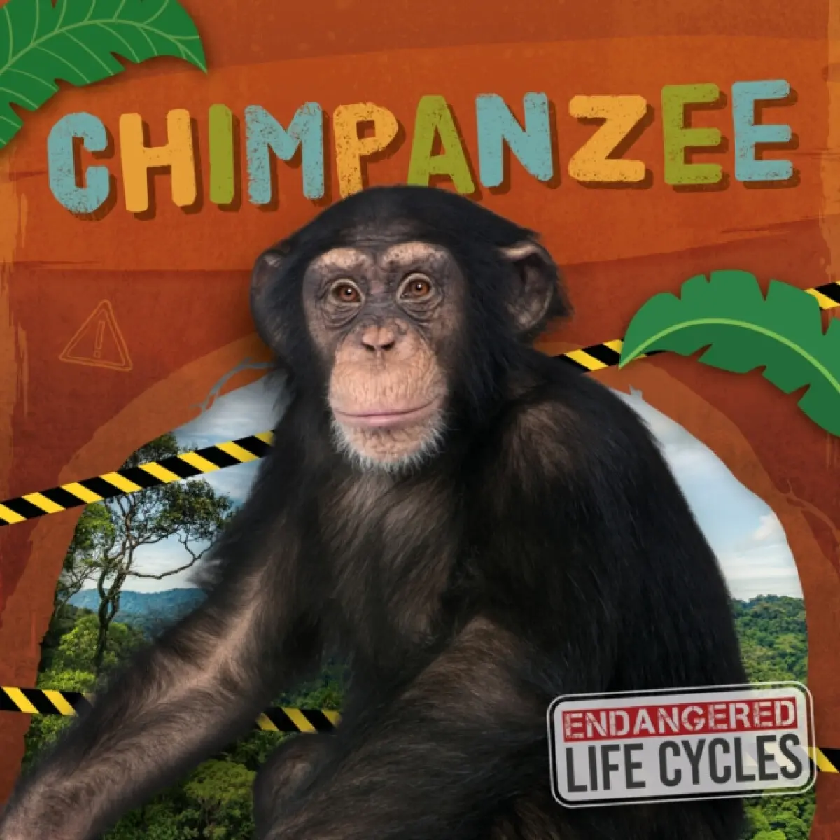 Chimpanzee - E.C. Andrews