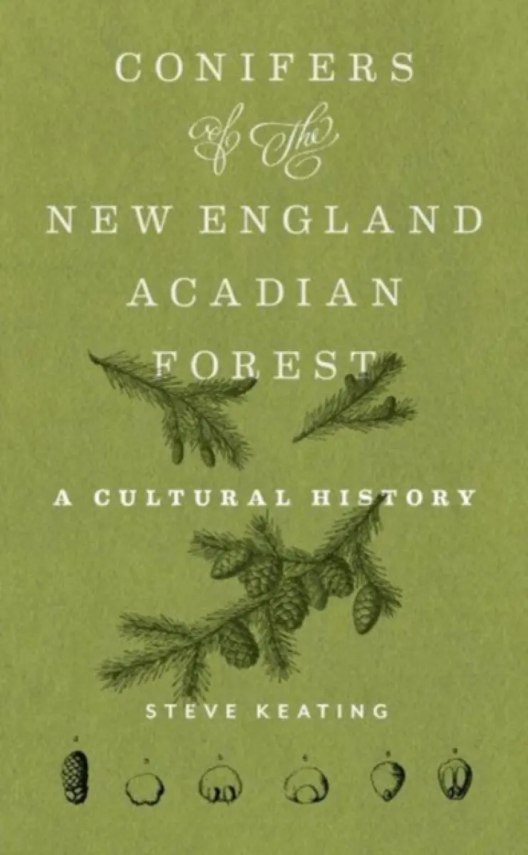 Conifers of the New England–Acadian Forest - Steve Keating
