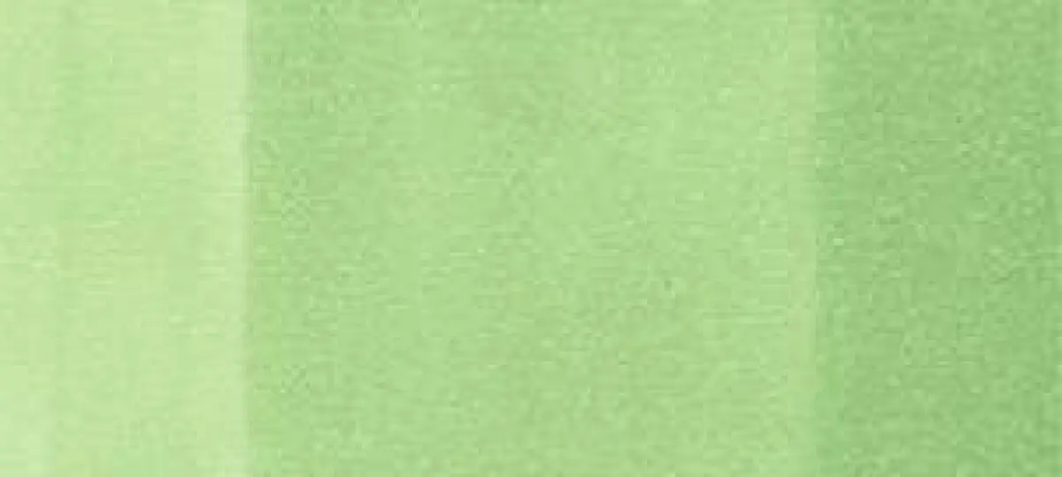Copic classic marker – YG23 New Leaf