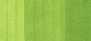 Copic classic marker – YG25 Celadon Green