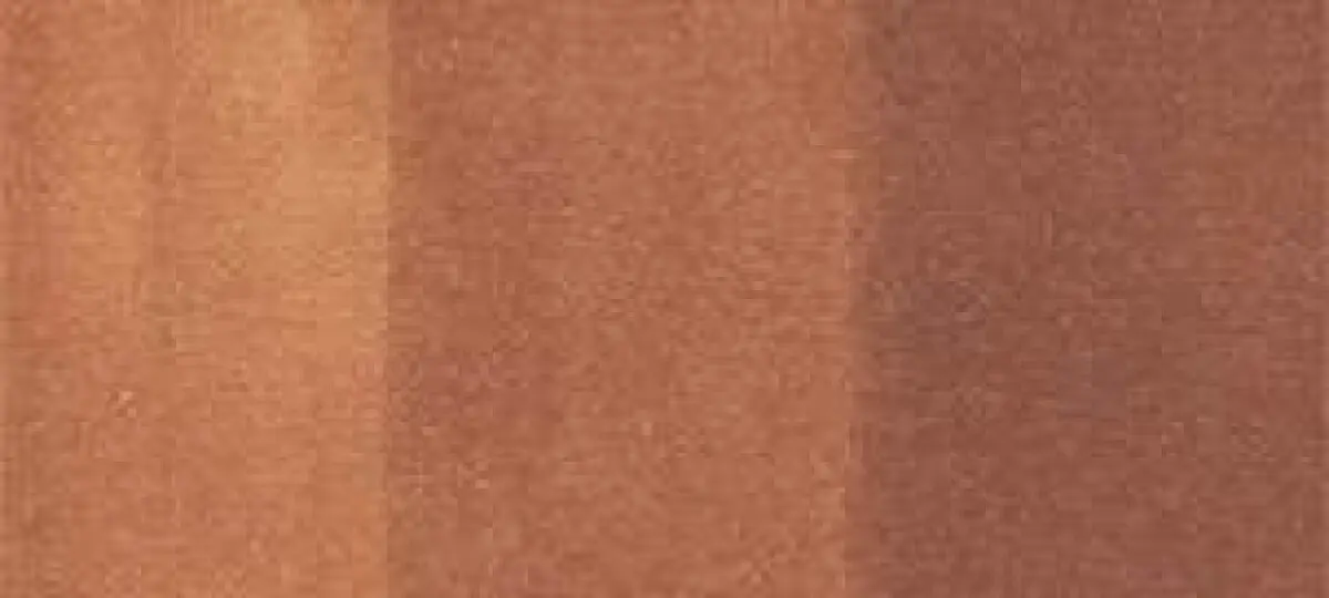 Copic Ink – E39 Leather