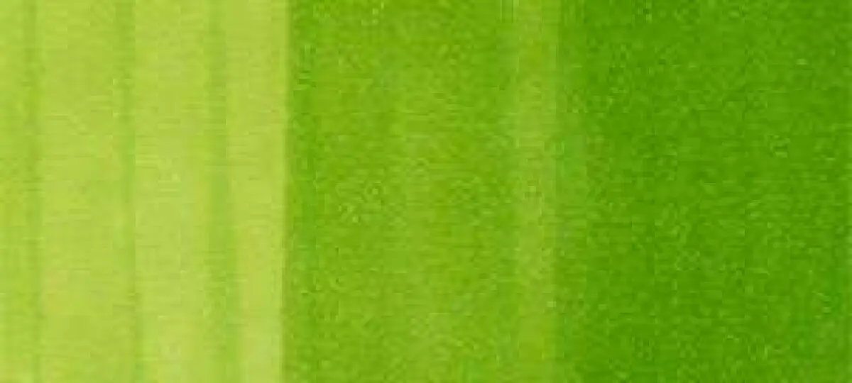 Copic Ink – FYG2 Fluorescent Dull Yellow Green