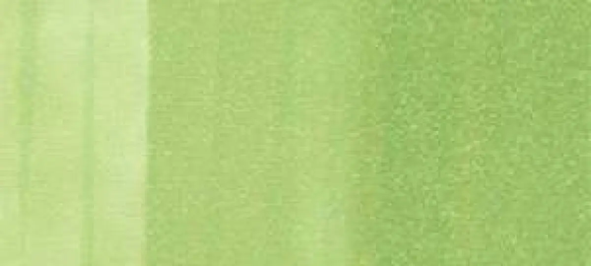 Copic Ink – G43 Pistachio