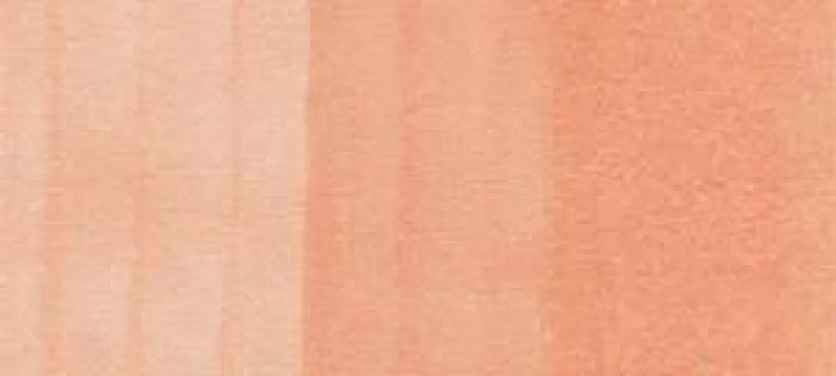 Copic Ink – R21 Sardonyx